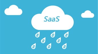 網絡游戲軟件技術研發的現狀與轉型 從傳統ERP到ServiceHot SaaS的演進